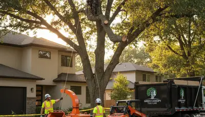Professional tree removal service in Chicago, IL safely cutting large oak tree branches
